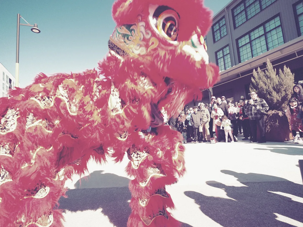 Lunar New Year photograph 9